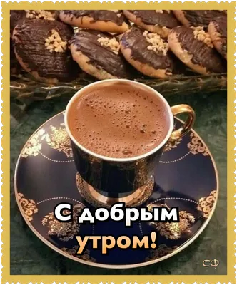 Доброе утро в Карпатах😍 Вкусного кофе☕️ Снег,как по заказу…ведь когда мы  приехали,не было ни снежинки❄️❄️,а на следующее утро нас… | Instagram