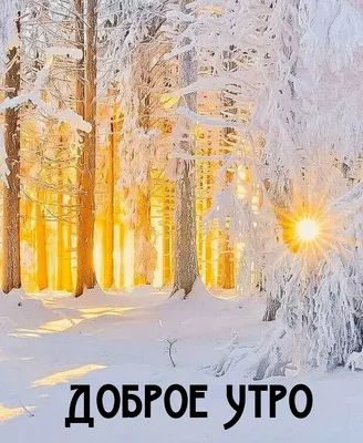 Доброе утро | Доброе утро, Открытки