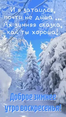 Зимние картинки \"С Добрым Утром!\" (502 шт.)