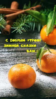 ЗИМНЯЯ СКАЗКА - Плэйкасты - Настроение, Чувства
