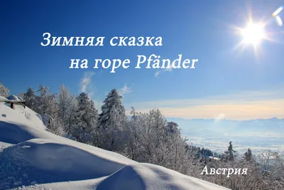 Доброе утро, друзья! Знакомьтесь! Зимняя сказка. ❄️☃️🌲🌟 Какое фото  нравится вам больше 1,2,3...10? ⠀ ⭕ Наш Телеграм 👉 ссылка в шапке… |  Instagram