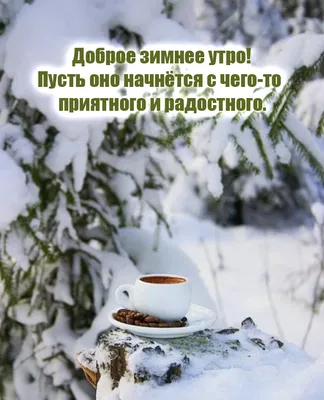 Зимняя сказка | Доброе утро, Русь! | Дзен