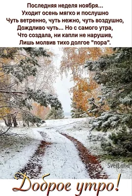 доброе утро зимняя сказка｜Búsqueda de TikTok