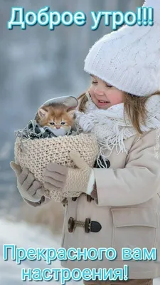 Зимняя сказка на горе Pfänder (Австрия)