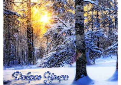 Доброе утро декабря - самые новые открытки (35 ФОТО)