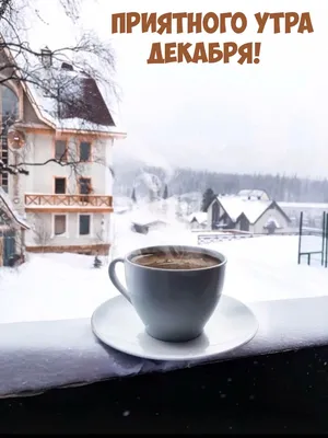 Петербургский Дневник - Зимняя сказка в Царском Селе. Доброе утро,  волшебный город! | Facebook