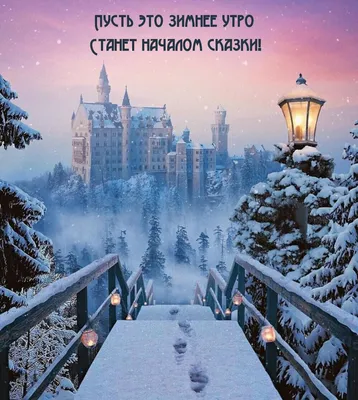 Доброе утро, сегодня отмечается день поющих звезд! Зима — отличное время,  чтобы учиться новому… например,.. | ВКонтакте
