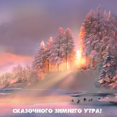 Москва меняется - ЗИМНИЙ ПАРК Невероятная зимняя сказка в парке Царицыно. Доброе  утро, любимая Москва😍👇🏼 📸 instagram.com/pochekh #москваменяется #фото |  Facebook