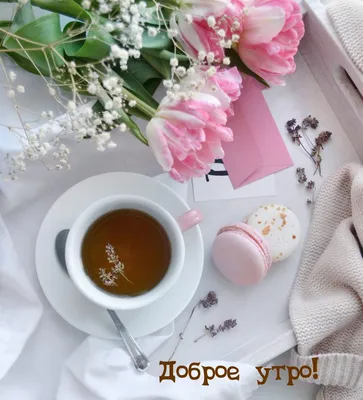 С добрым утром!☀️☕ доброе позитивное…» — создано в Шедевруме