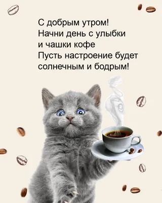 💗☕️🌷Доброе Утро! Хорошего Дня! Заряд Позитива на Весь День!💞 - YouTube