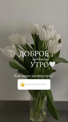 Доброе утро эстетика, good morning | Эстетика, Доброе утро, Картинки