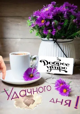 Пин от пользователя Елена Вакулич на доске С Добрым утром | Праздничные  открытки, Поздравительные открытки, Открытки
