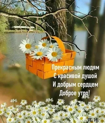 Доброе утро | Доброе утро, Природа, Закаты