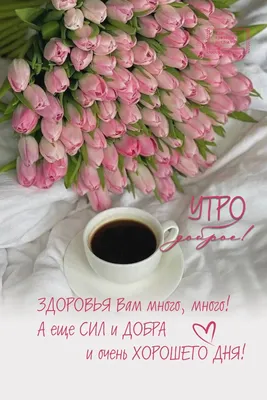 ДОБРОЕ УТРО весна красивые открытки картинки утренние сообщения цитаты # доброеутро | Открытки, Доброе утро, Праздничные открытки
