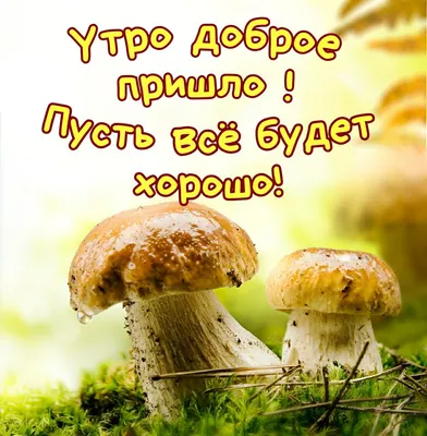 Улитки на грибах. Доброе утро!