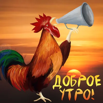 Открытка с петухом и подписью: Доброе утро! — Скачайте на Davno.ru