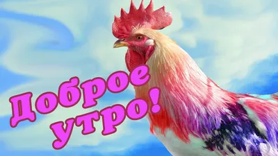 Картинки \"С Добрым Утром и Хорошего Дня!\" (256 шт.)