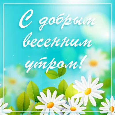 доброе_утро #цветы #ромашки #apel_sin005 #лови_моменты #яркиекраски #... |  TikTok