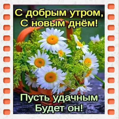 🌼🌼🌼🌼🌼 Доброе Утро! 🌼🌼🌼🌼🌼 | By В Гостях У Ромашки | Facebook