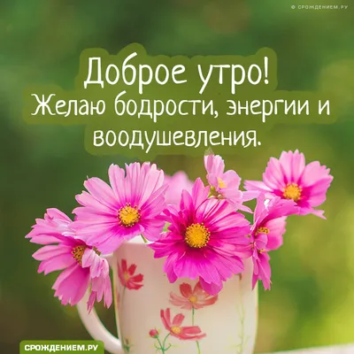 Картинка с розовыми ромашками: Доброе утро! • Аудио от Путина, голосовые,  музыкальные