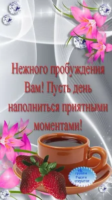 Доброе утро, Стаханов. Сегодня тёплый, но мокрый четверг Все новости  ВКонтакте и в Telegram - Лента новостей ЛНР