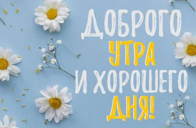 Идеи на тему «Все доброе: утро,день, вечер» (120) | открытки, счастливые  картинки, поздравительные открытки