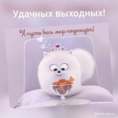 Доброе утро! Хороших выходных! Мы работаем и ждём вас❤️ | Instagram