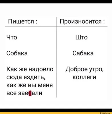 Лучшие смс \"С добрым утром\" для друга, коллеги, родственника | ДОМИНО | Дзен