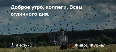 Доброе утро, коллеги | Мир@вокруг | Дзен