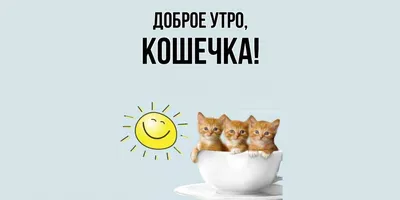 Открытка для любимых и родных Кошечка Доброе утро. Открытки на каждый день  с пожеланиями для родственников.