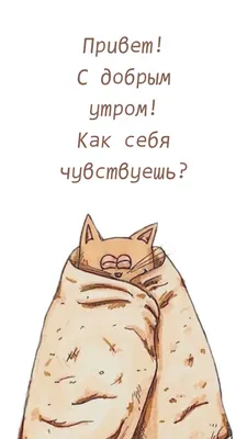 Открытка доброе утро котик - 69 фото