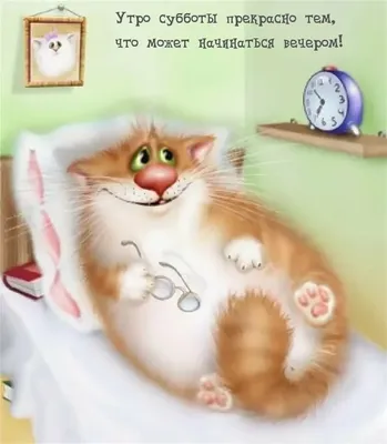 Гиф анимация Кот с подушкой и недовольной мордой (С добрым утром!)