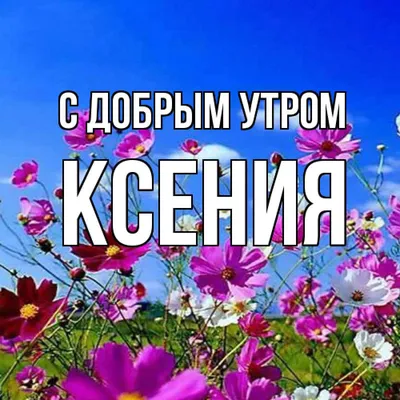 ксюша доброе утро｜TikTok Search