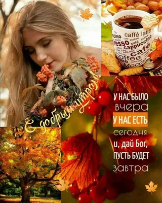 С добрым утром,солнышко！😍🌹 | TikTok