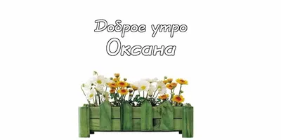 Утро станет по-настоящему добрым, если правильно его пожелать 😉 Давайте  потренируемся — напишите в комментариях.. | ВКонтакте