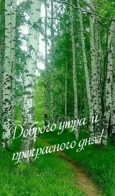 Пин от пользователя bos на доске доброе утро | Пейзажи, Живописные пейзажи,  Сельские виды