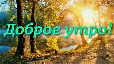 Доброе утро!. Отличной пятницы! - Лента новостей ДНР