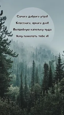 Картинки доброе утро с природой летней и надписью (56 фото) » Картинки и  статусы про окружающий мир вокруг