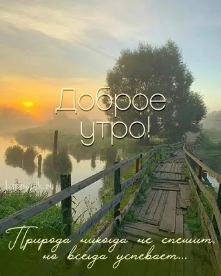 Живые , мудрые открытки. | Доброе утро | Дзен