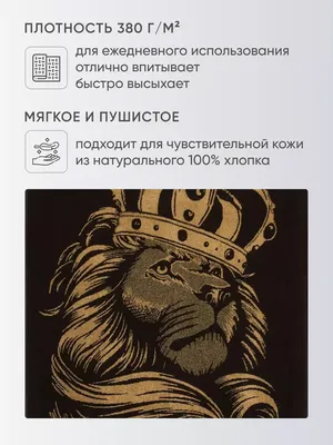 50 идей, как романтично пожелать «Доброе утро» любимому | Блог Александра  Шахова