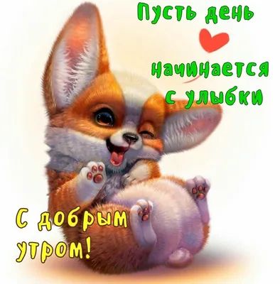 Доброе утро всем. 🦊🦊🦊🦊🦊🦊 Валяная брошка лисенок сплюшка. Выполнена на  заказ. Уже дома. Приносит радость своему новому другу. ⚘⚘⚘⚘⚘⚘ Размер…