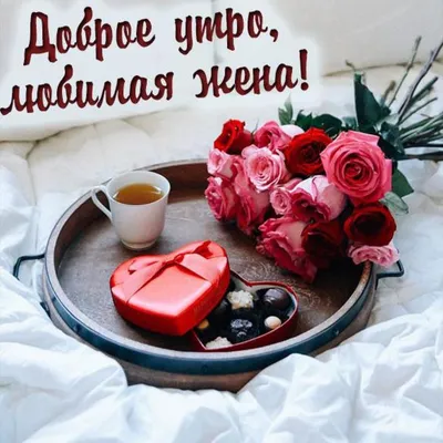 С ДОБРЫМ УТРОМ , ЛЮБИМАЯ ГРУППА. ☀☀☀☀☀☀☀☀☀☀☀☀☀☀ Хочу пожелать всем доброго  утра! Пусть.. | ВКонтакте