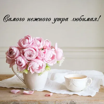 Нежная картинка доброе утро любимая - скачать бесплатно