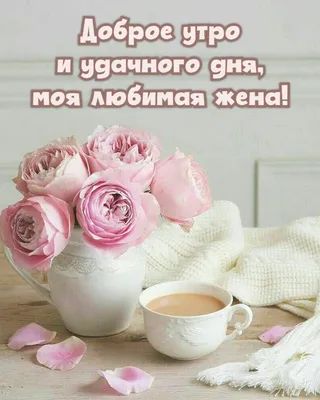 Красивые картинки Доброе утро, любимая! (38 фото) 🔥 Прикольные картинки и  юмор