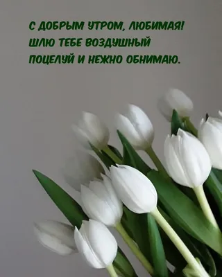 Красивая картинка доброе утро любимая - скачать бесплатно