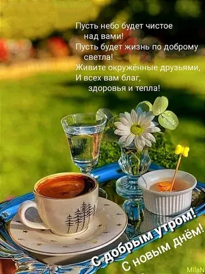 доброго ранку людочка｜Пошук у TikTok