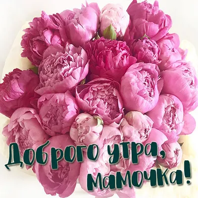 Открытка с именем Мама и папа Доброе утро картинки. Открытки на каждый день  с именами и пожеланиями.