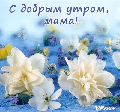 С добрым Утром, Мама!