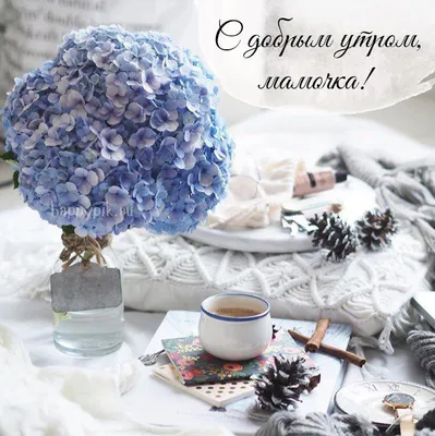 Доброе утро мама — красивые картинки | Zamanilka