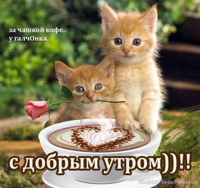 Картина «Доброе утро, мама» Холст на картоне, Акрил 2023 г.